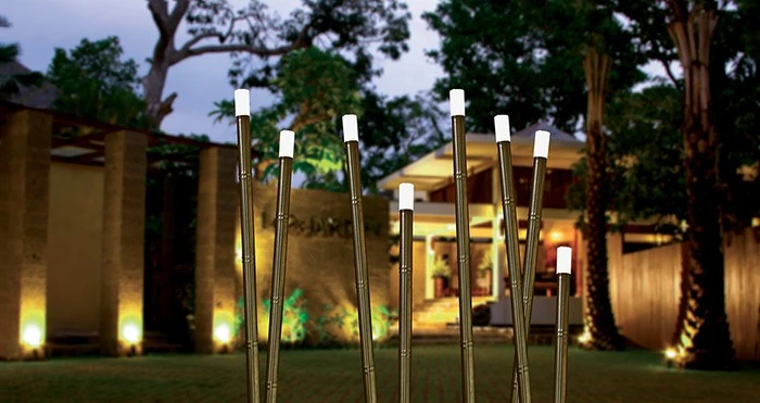 Borne Bamboo - Inverlight – Image 3