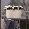 Jardinière De Balcon Steckling Duo - Rephorm