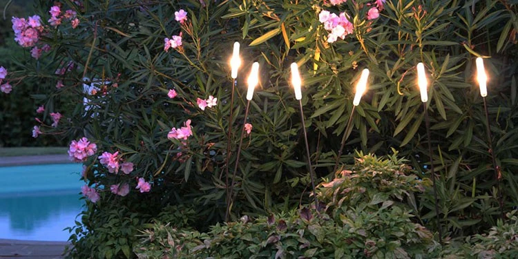 Lampe à Planter Soffione P1 - Inverlight – Image 4