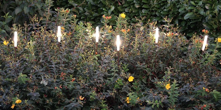 Lampe à Planter Soffione P1 - Inverlight – Image 3