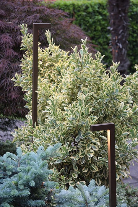 Lampe à Planter Mimi - Inverlight – Image 2