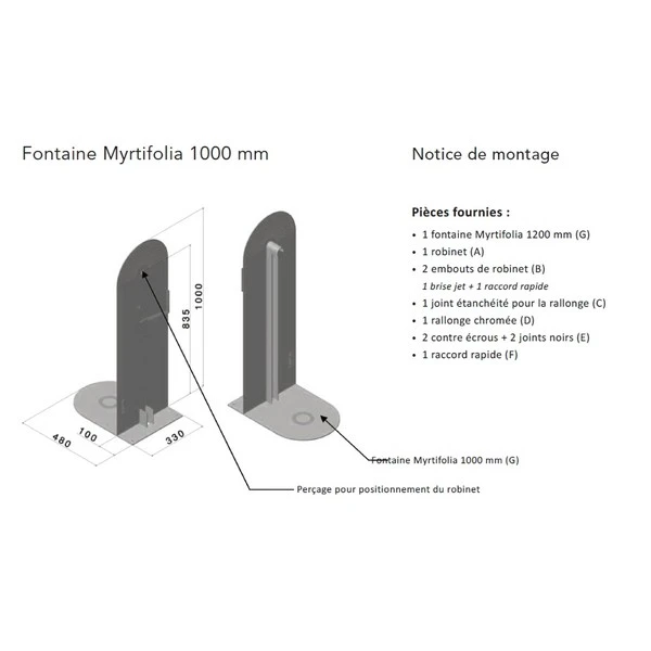 Petite Fontaine Myrtifolia H100cm - Laorus – Image 10