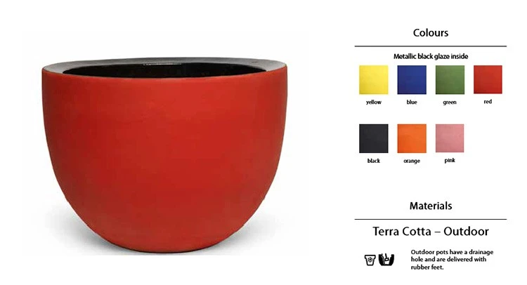 Pot Axel - Domani – Image 17