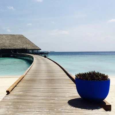 Pot Axel - Domani – Image 12