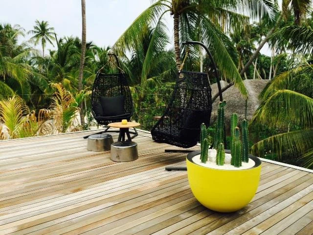 Pot Axel - Domani – Image 10