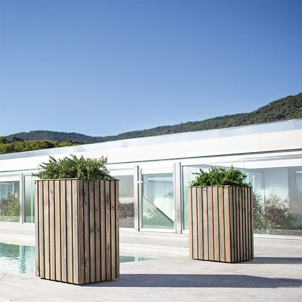 Pot Haut Forest - Hobby Flower – Image 6