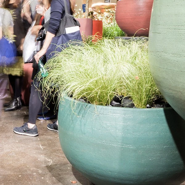 Pot Nuuk - Domani – Image 8