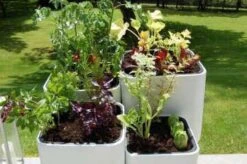 Jardinière Potagère Kiga XL - HURBZ