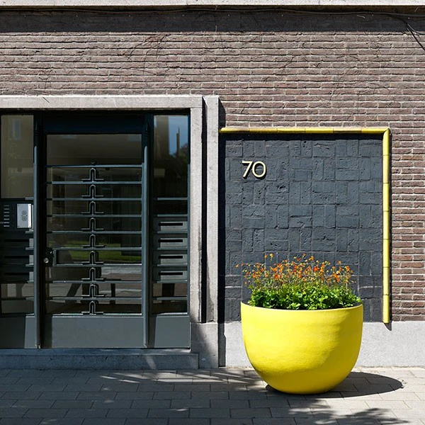 Pot Axel - Domani – Image 8