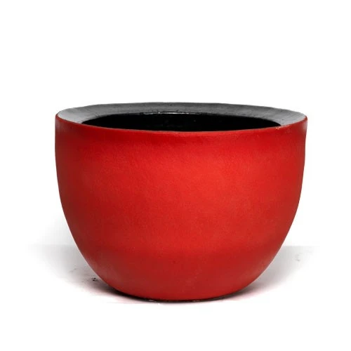 Pot Axel - Domani – Image 2