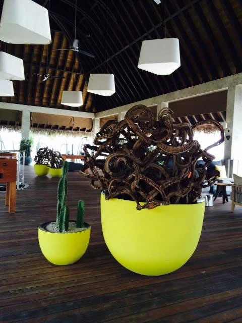 Pot Axel - Domani – Image 11