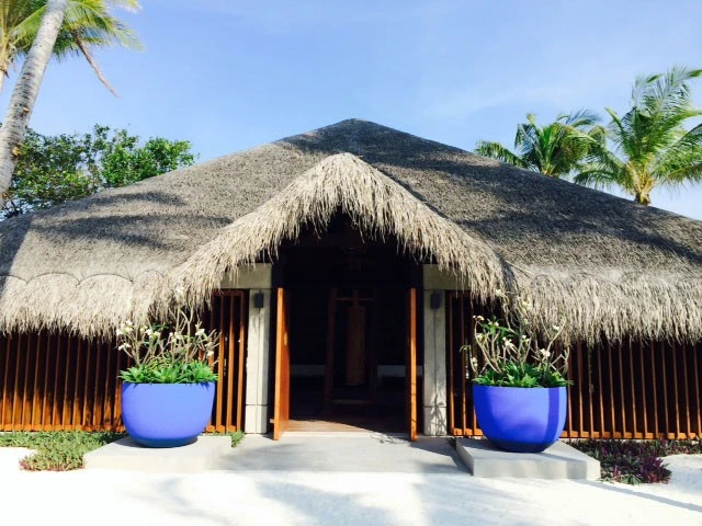 Pot Axel - Domani – Image 9