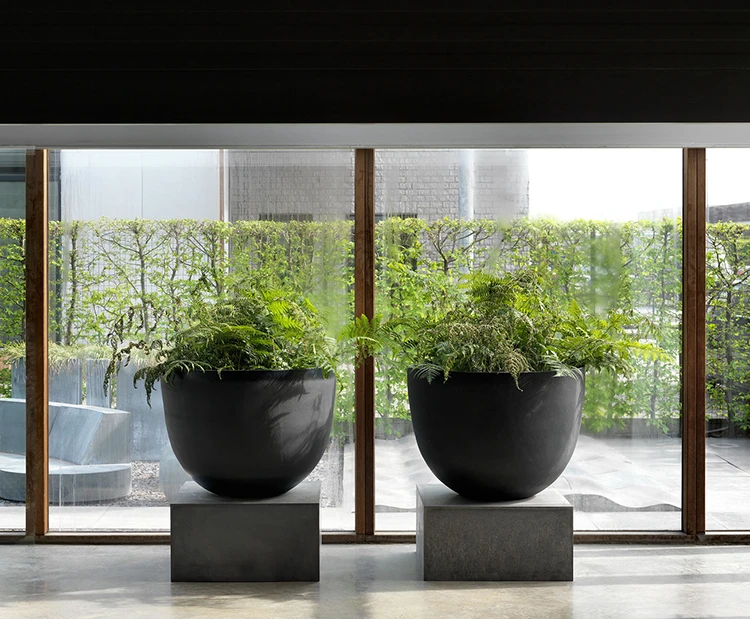 Pot Axel - Domani – Image 15