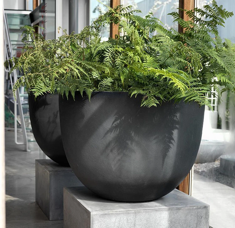 Pot Axel - Domani – Image 14