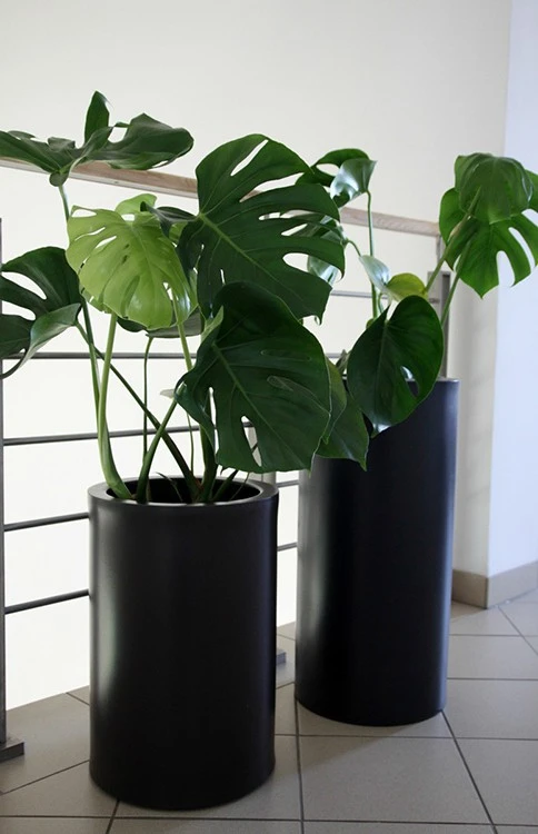 Pot Hebe - Pdconcept – Image 12