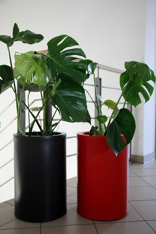 Pot Hebe - Pdconcept – Image 11