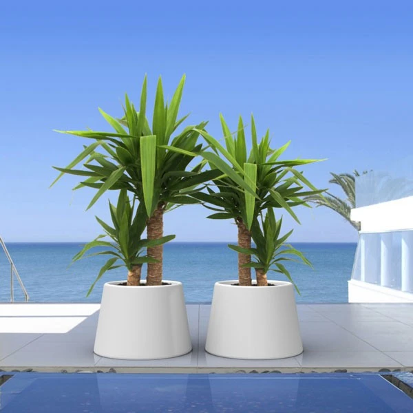 Pot Sardana - Qui Est Paul? – Image 2