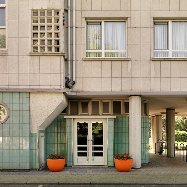 Pot Axel - Domani – Image 6