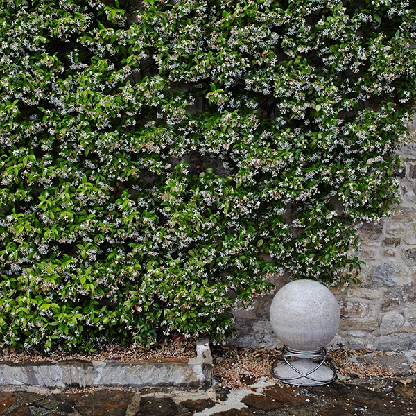 Enceinte Sphère 470 - Architettura Sonora – Image 2