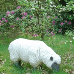 Statue Brebis Tête Basse - Tex Artes