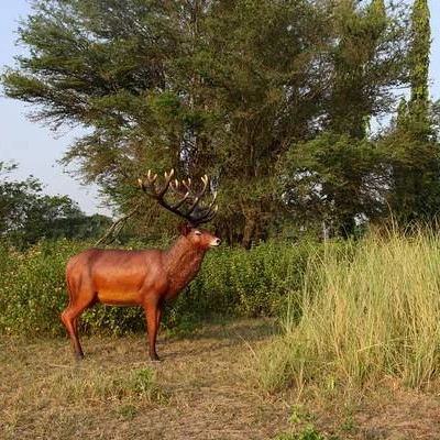Statue Cerf - Tex Artes – Image 4