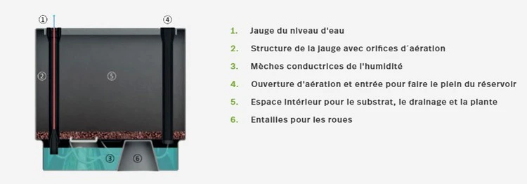 Pot Haut Urban - Hobby Flower – Image 10